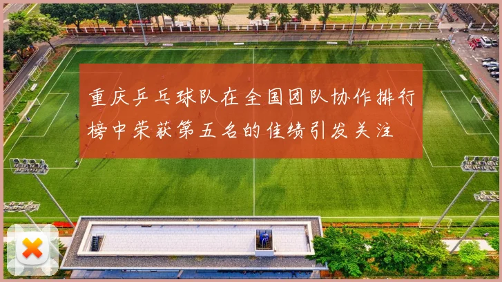 重庆乒乓球队在全国团队协作排行榜中荣获第五名的佳绩引发关注