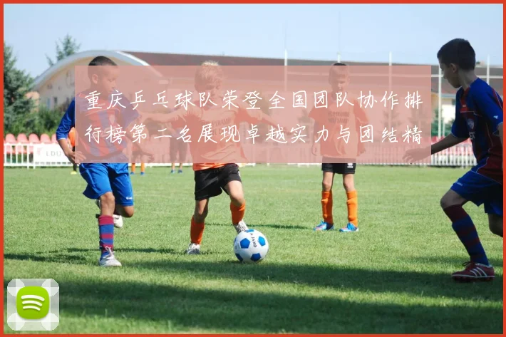 重庆乒乓球队荣登全国团队协作排行榜第二名展现卓越实力与团结精神