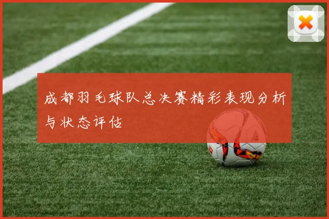 成都羽毛球队总决赛精彩表现分析与状态评估
